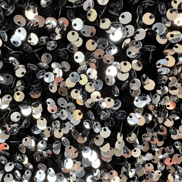 NWT - H&M Velvet Silver Sequined Mini Skirt - Picture 3 of 8